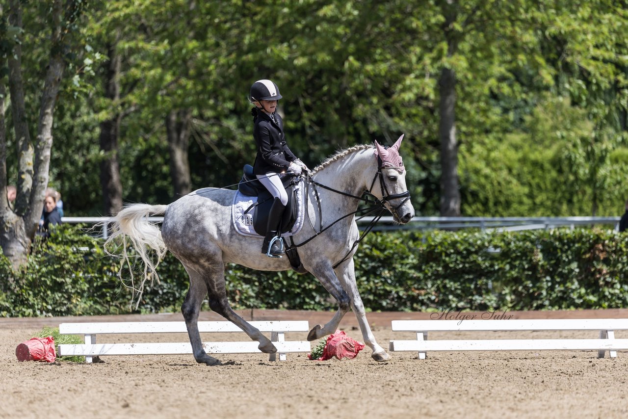 Bild 559 - Pony Akademie Turnier